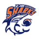 上海久事U19logo