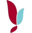 雅洛瓦大学logo