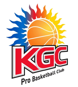安阳人参logo