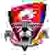 胜利之光logo