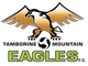 坦博林山鹰地铁logo