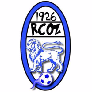 泽姆logo