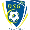 DSG费拉赫logo