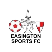 伊辛顿体育logo
