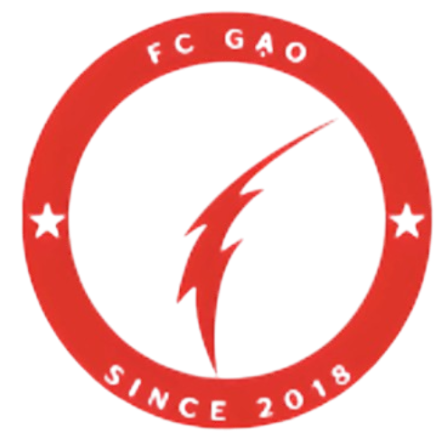 高大国光logo