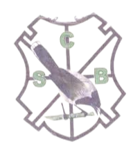 布拉加体育U19logo