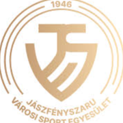 爪萨芬斯扎瑞logo