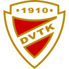 迪欧斯捷尔DVTK B队logo