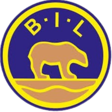 比约纳瓦特恩女足logo