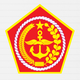 匹尼U21logo